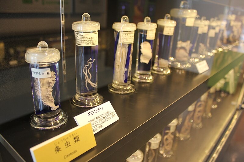 Parasitology Museum