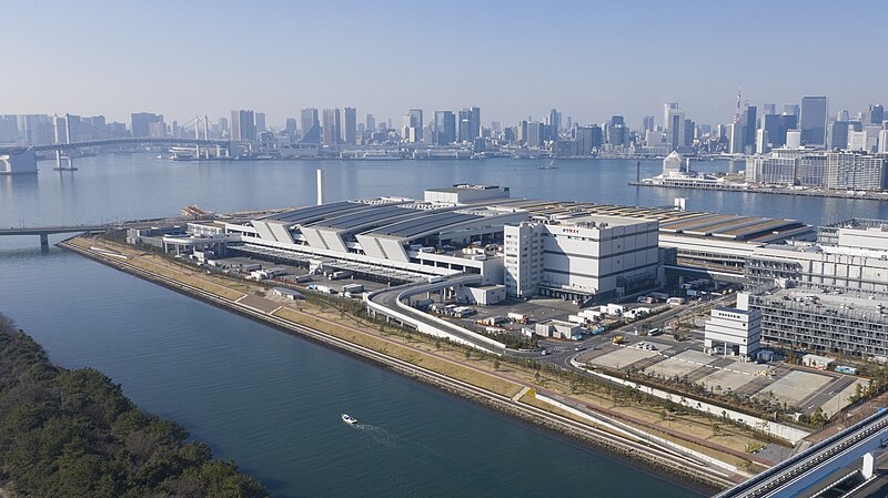 Toyosu Tuna Auction
